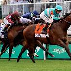 turf bet